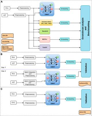 Unsupervised neural network for single cell Multi-omics INTegration (UMINT): an application to health and disease